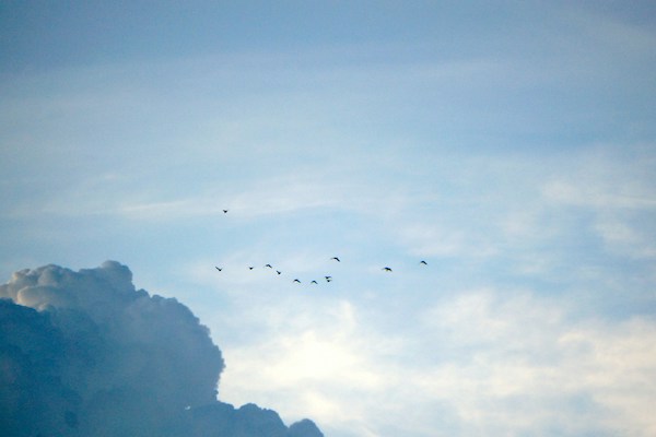 Blauer Himmel, unten rechts türmt such eine Wolke auf, in der Mitte des Bildes sind Vögel zu erkennen.