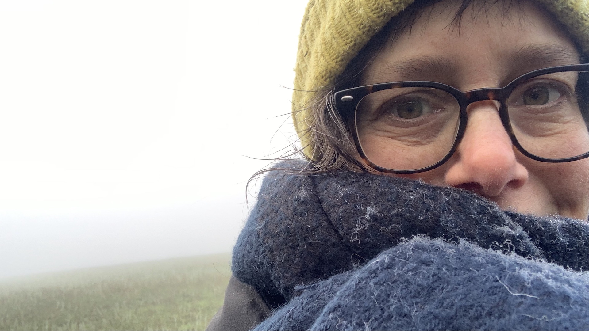 Porträt Katja Reetz mit Mütze und Schal, im Hintergrund eine neblige Landschaft.