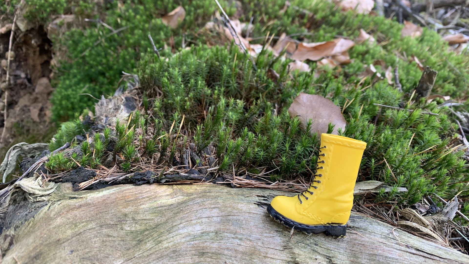 Kleiner gelber Stiefel steht auf einem Baumstumpf, im Hintergrund Moos