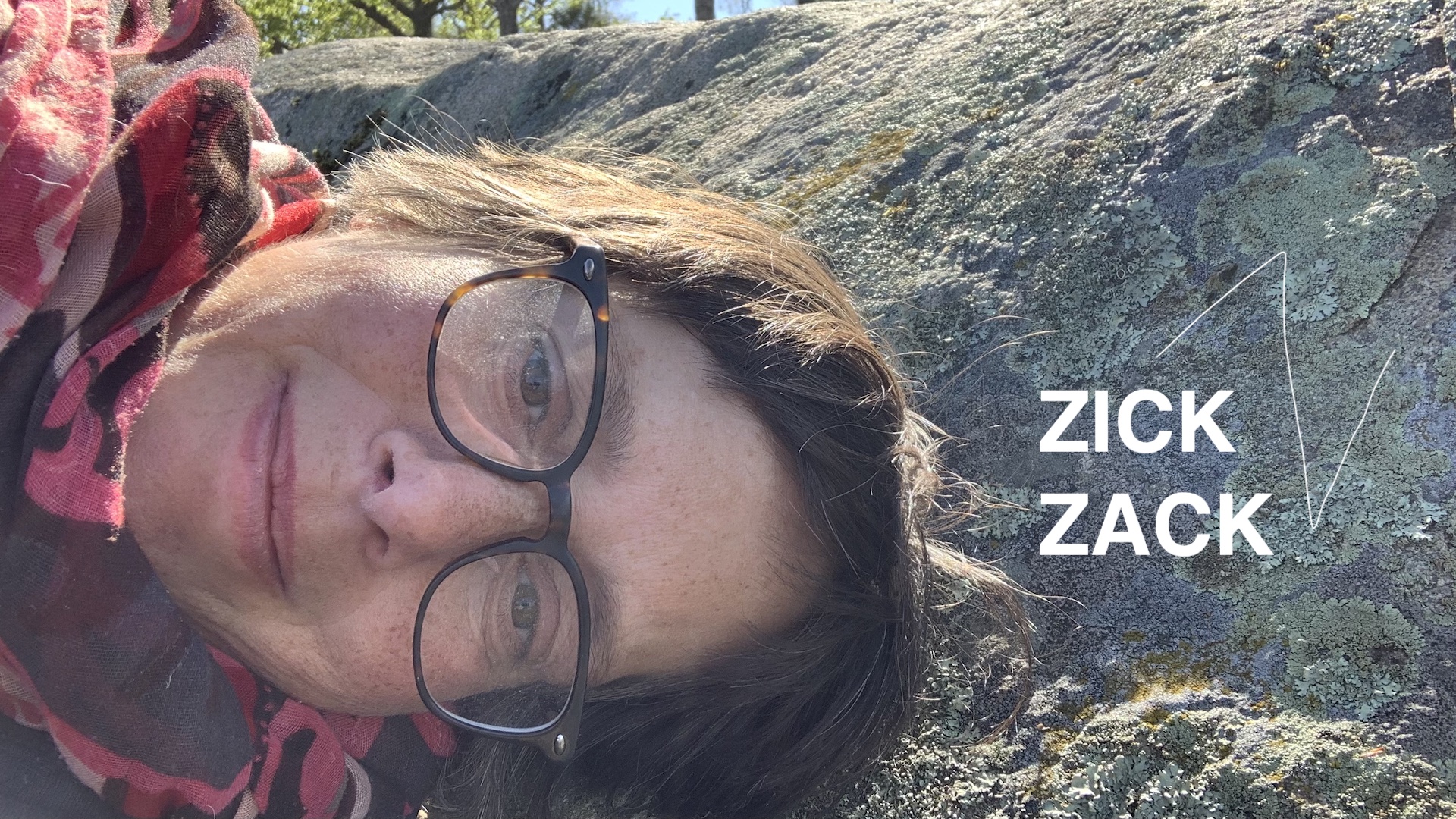 Porträt Katja Reetz, kopf ragt von links in das Bild hinein, daneben steht ZICK ZACK im Hintergrund ein Fels.